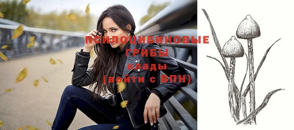 mix Лабытнанги