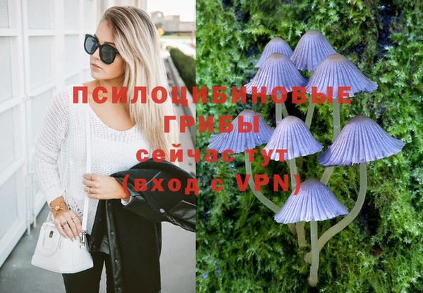 mix Лабытнанги