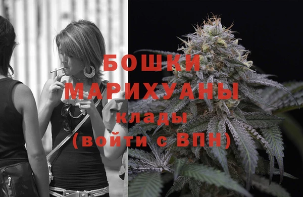 МДПВ Лагань